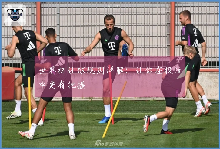 世界杯让球规则详解：让你在投注中更有把握