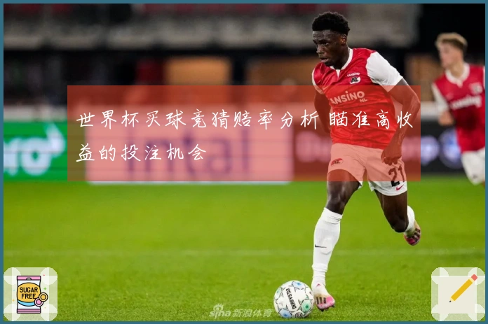 世界杯买球竞猜赔率分析 瞄准高收益的投注机会