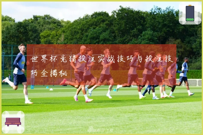 世界杯竞猜投注实战技巧与投注技巧全揭秘