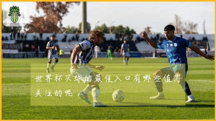 世界杯买球的最佳入口有哪些值得关注的呢