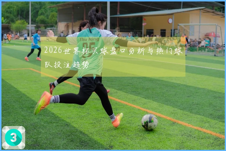 2026世界杯买球盘口分析与热门球队投注趋势