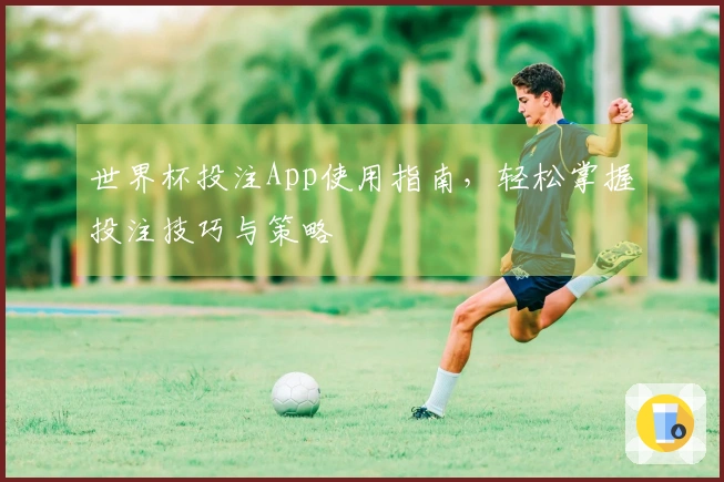 世界杯投注App使用指南，轻松掌握投注技巧与策略