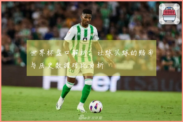 世界杯盘口解析：让球买球的赔率与历史数据对比分析