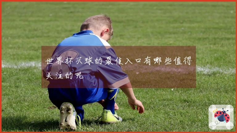 世界杯买球的最佳入口有哪些值得关注的呢