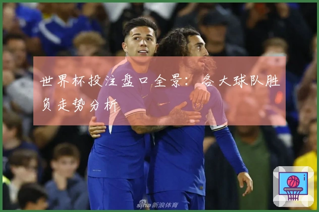 世界杯投注盘口全景：各大球队胜负走势分析